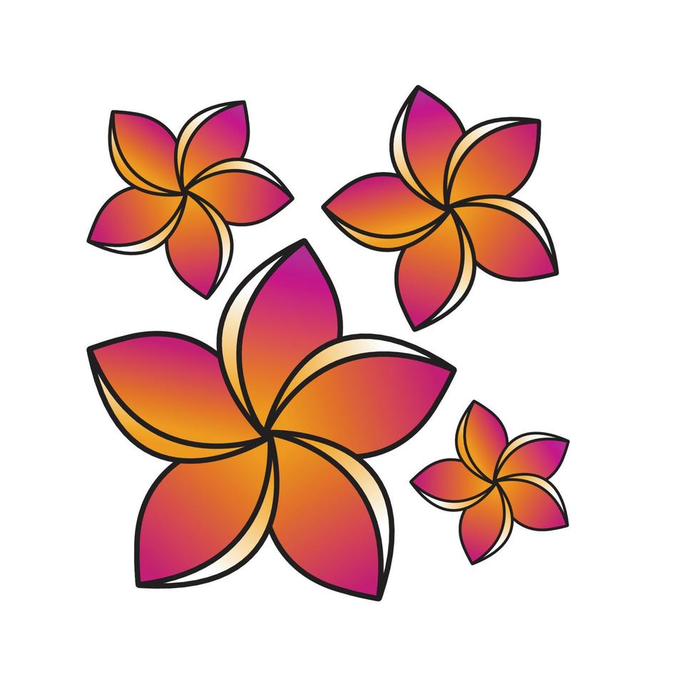 colorfull flower ornament vector design