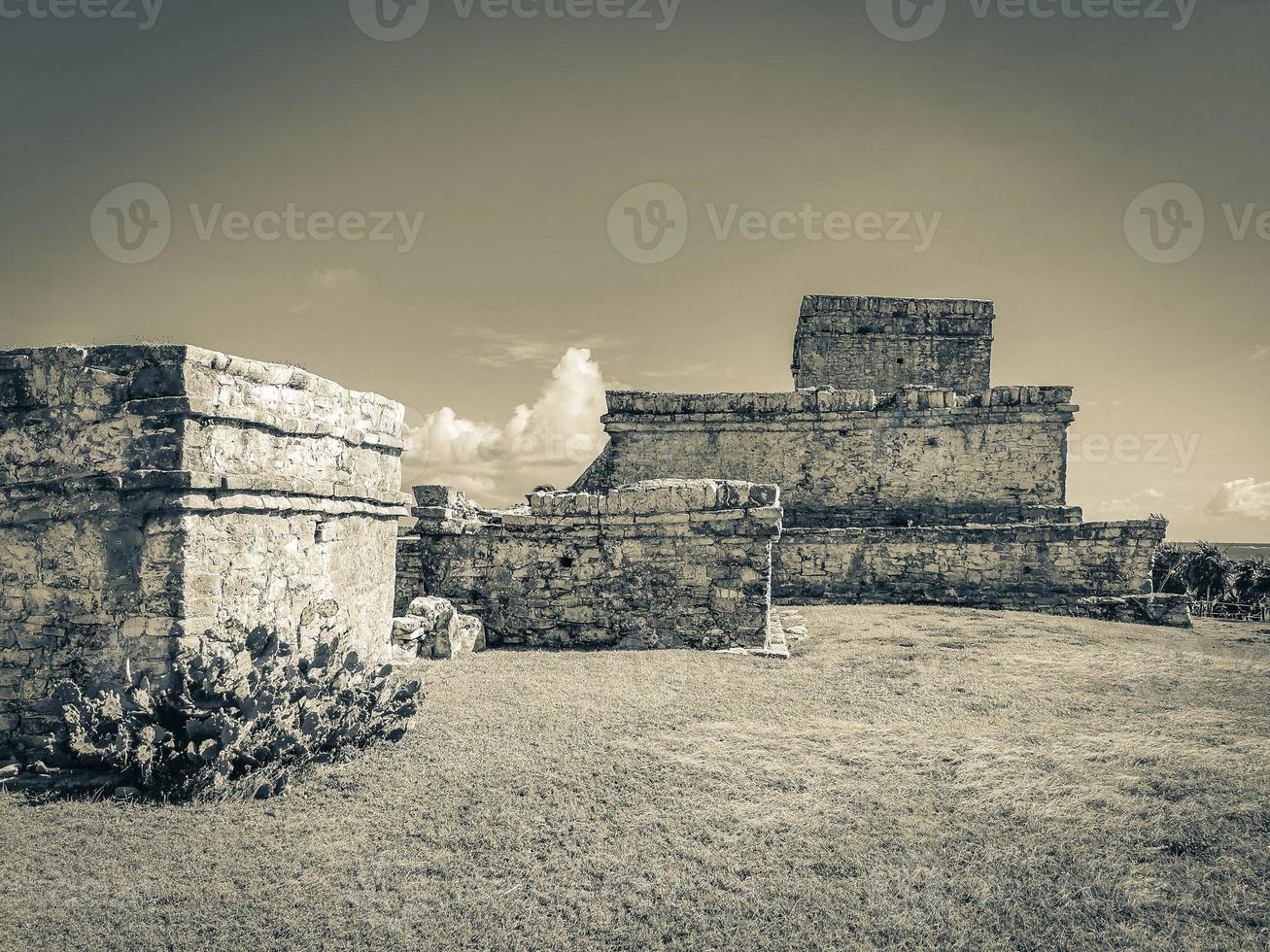 Ancient Tulum ruins Mayan site temple pyramids artifacts seascape Mexico. photo