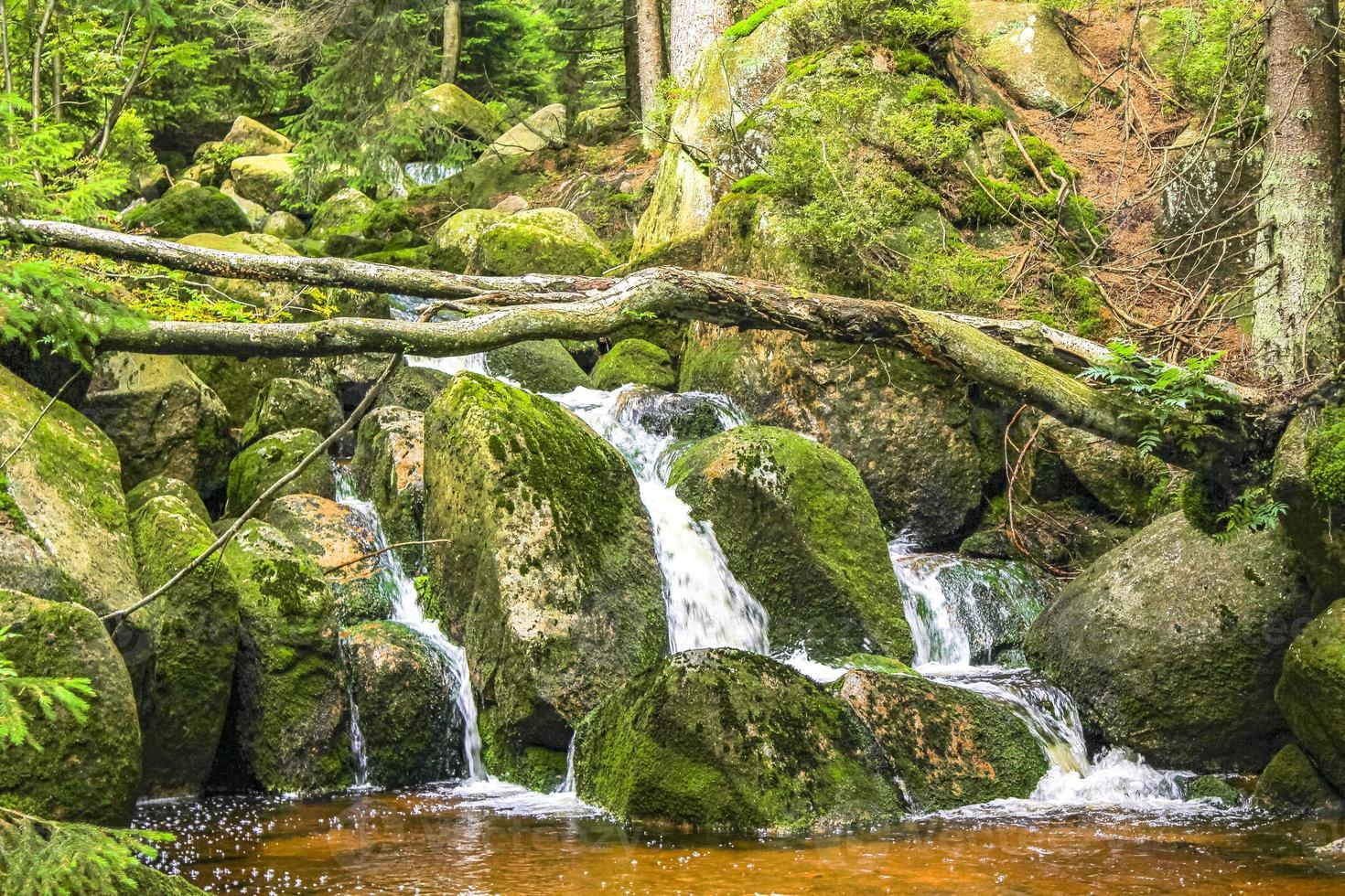 pequeña cascada río y arroyo en la montaña brocken harz alemania. foto