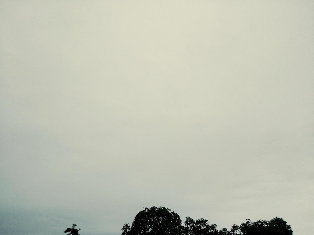 Rain clouds, branches of trees on a day with inclement weather photo