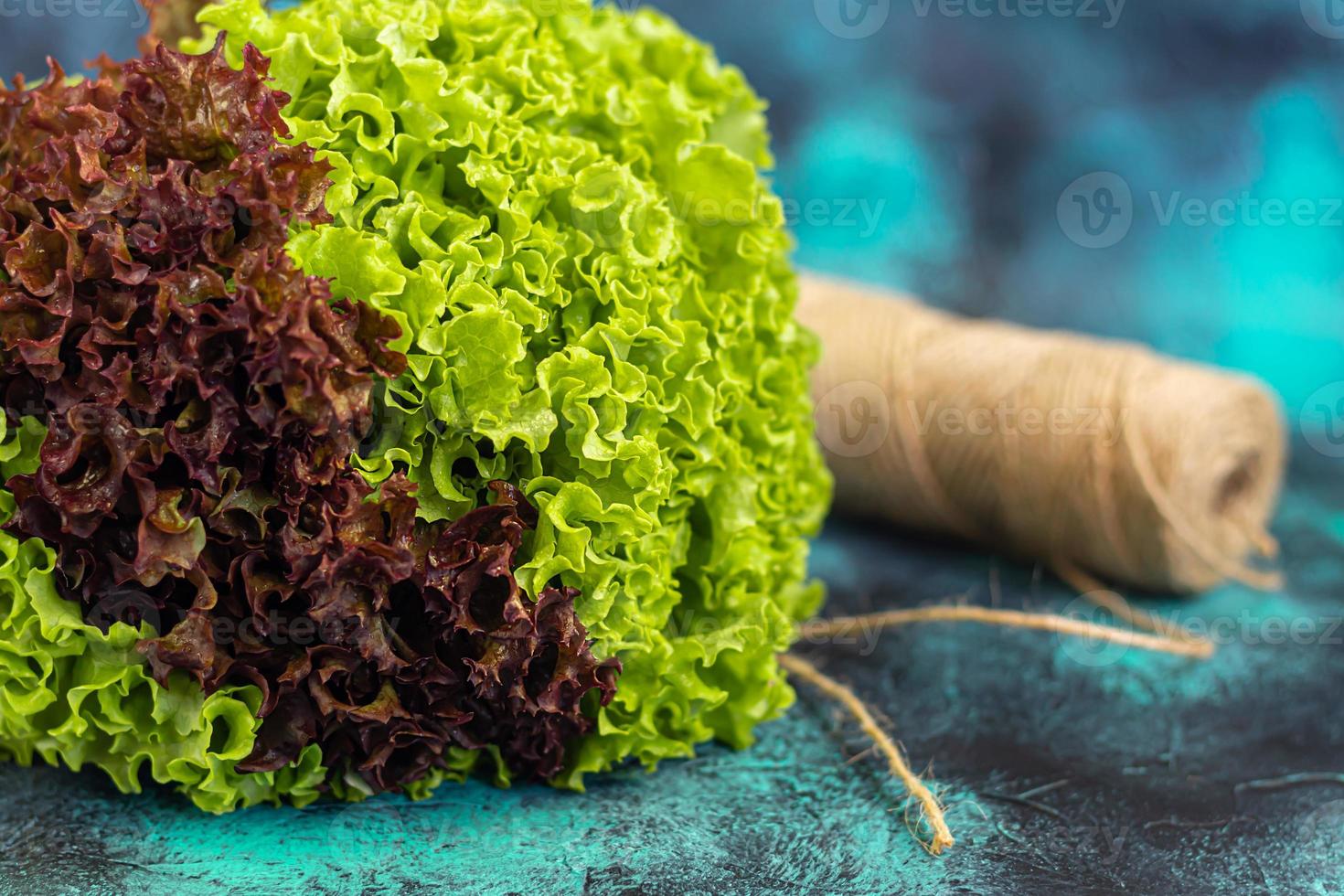 Leaves of green and red lettuce. Spring harvest, benefits and vitamins. On a dark background. photo