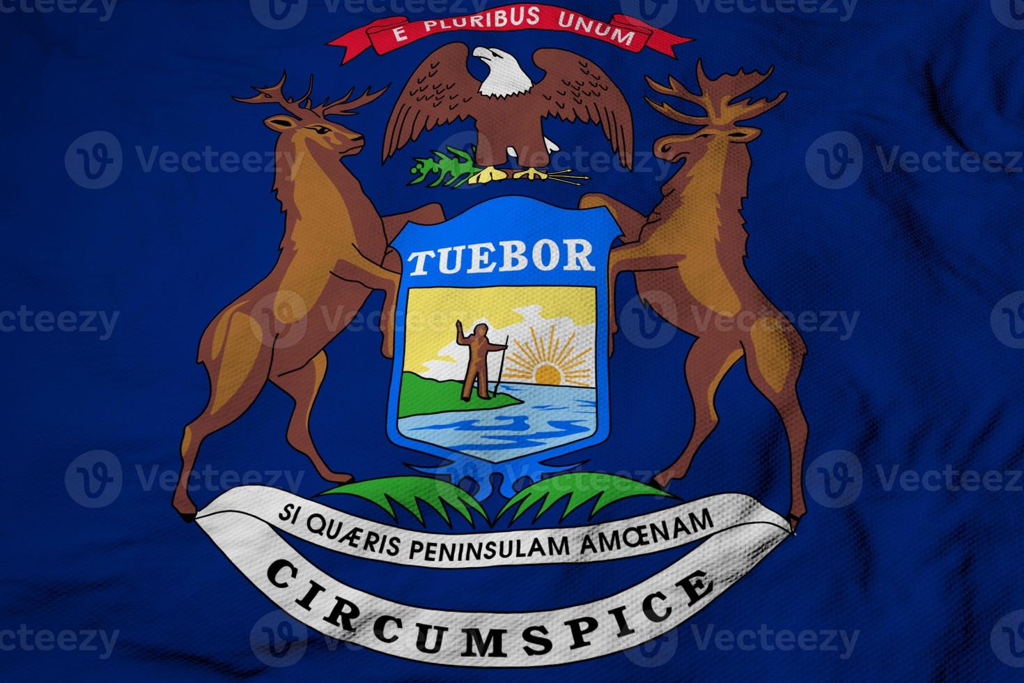 Flag of Michigan in 3D rendering photo