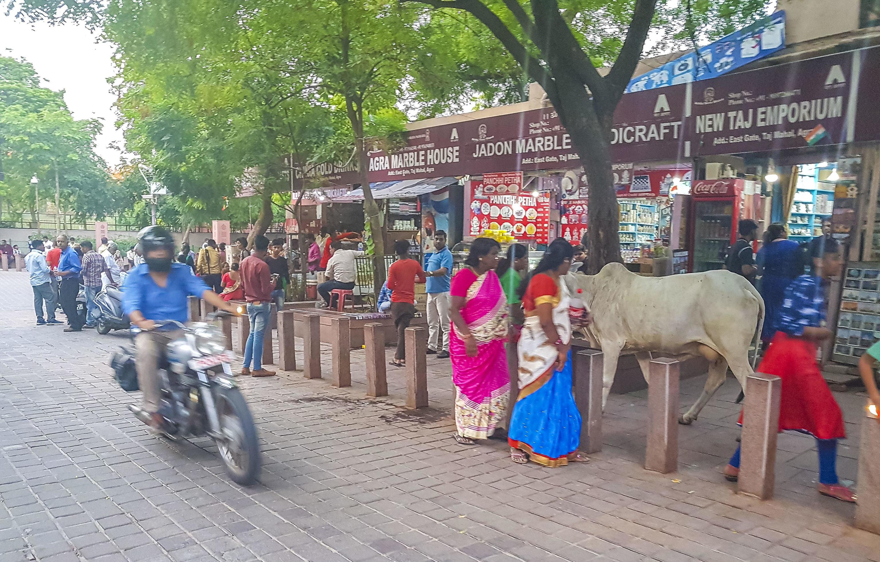 Agra Uttar Pradesh India 2018 Busy colorful street road people