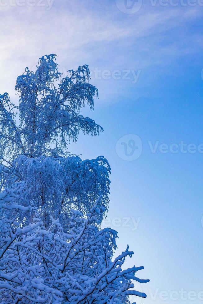 Snowy winter snow and ice landscape panorama view Bremerhaven Germany. photo