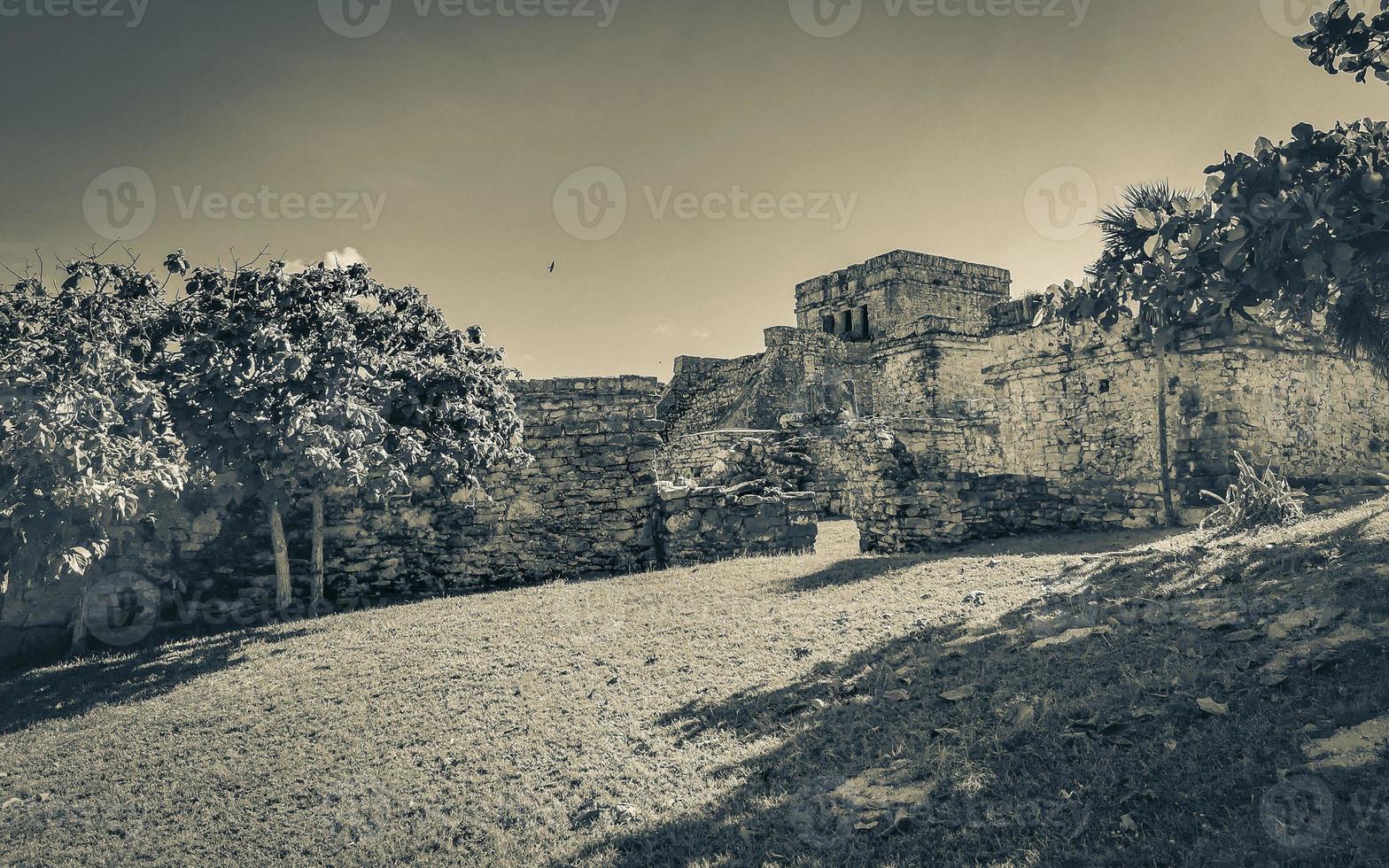 Ancient Tulum ruins Mayan site temple pyramids artifacts seascape Mexico. photo