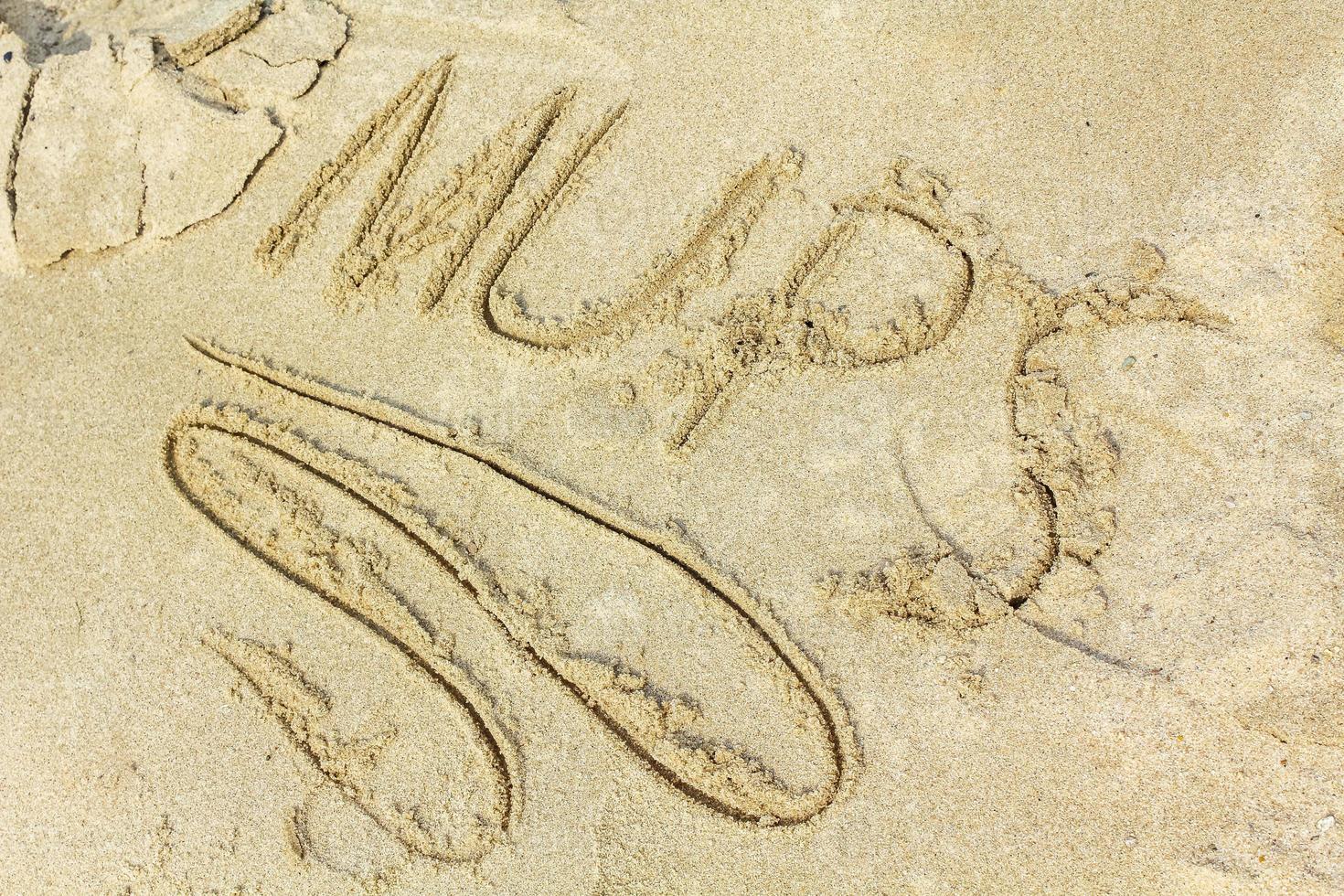mar de wadden esteros texto escrito en aguilucho arenoso arena alemania. foto