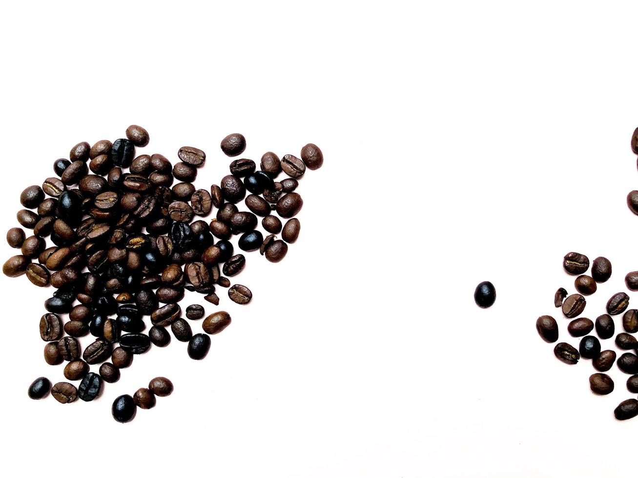 Isolated roasted coffee beans brown and dark seed variation on white background photo