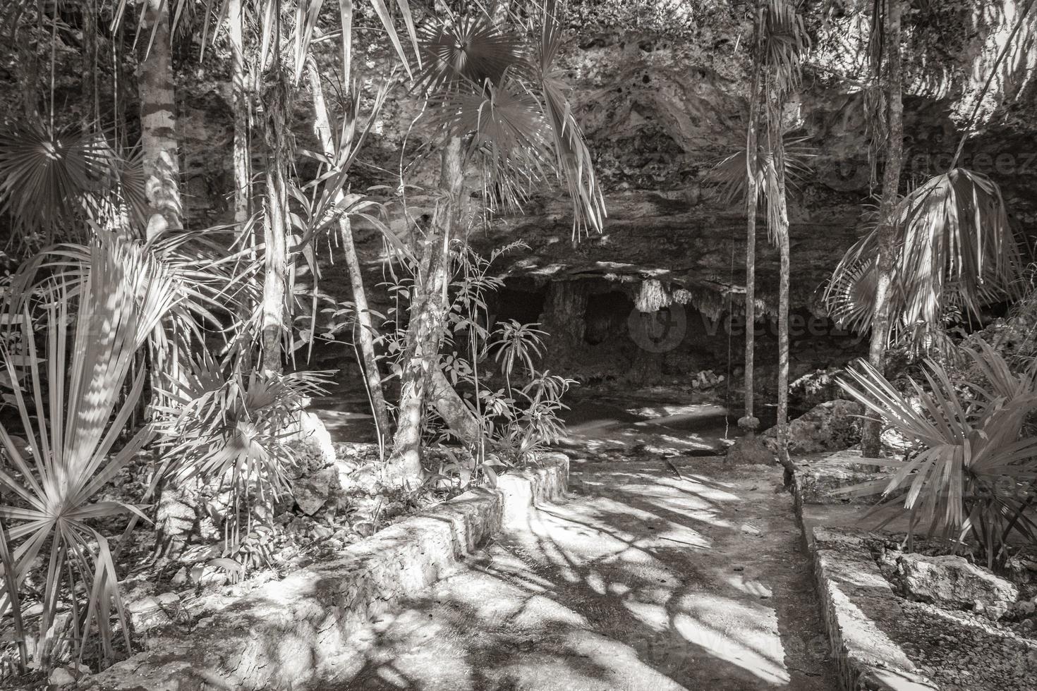 entrada y sendero cueva sumidero cenote tajma ha mexico. foto