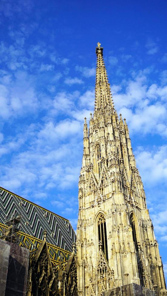 detalles de st. catedral de stephan en viena foto