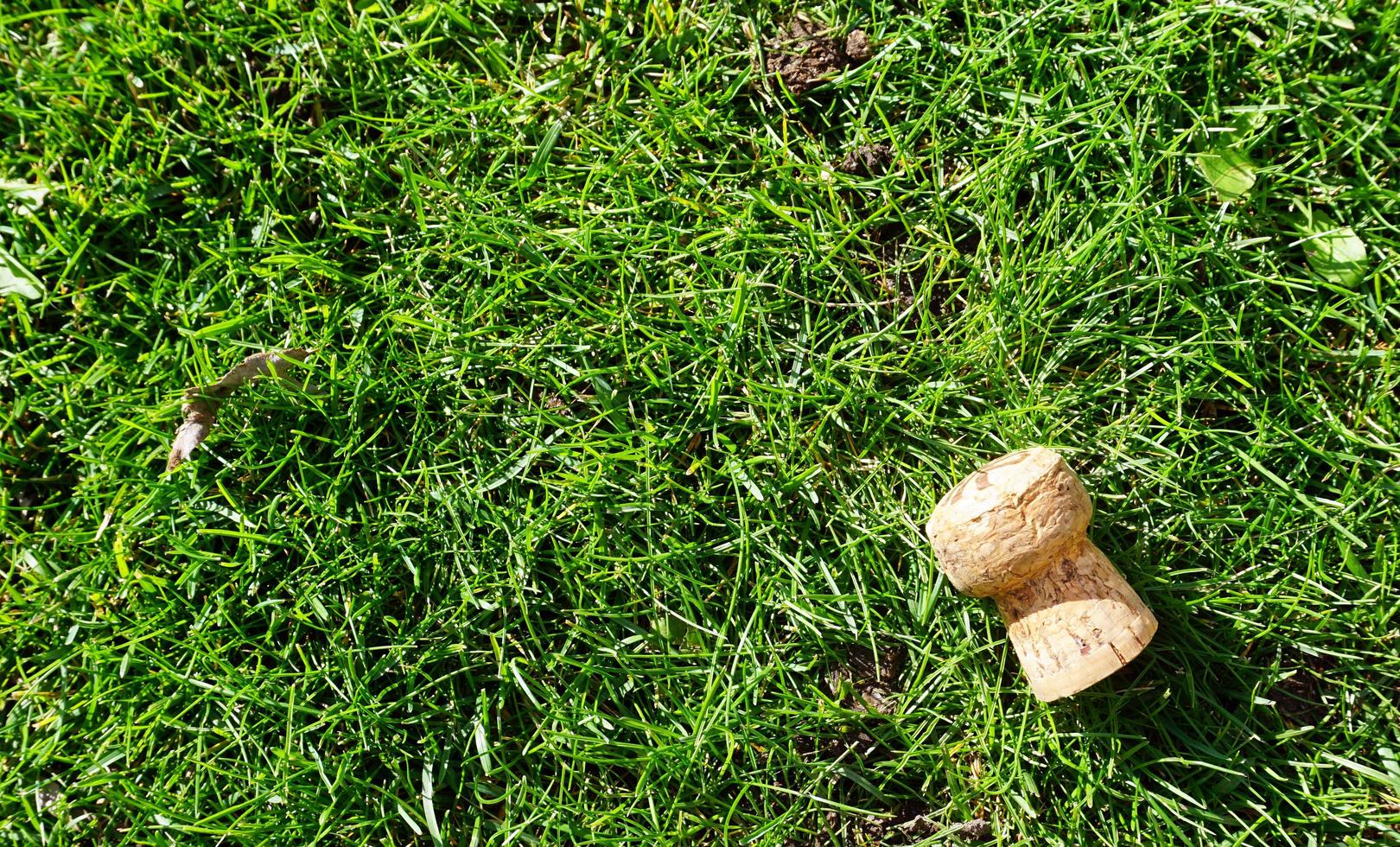 cork object on the grass photo