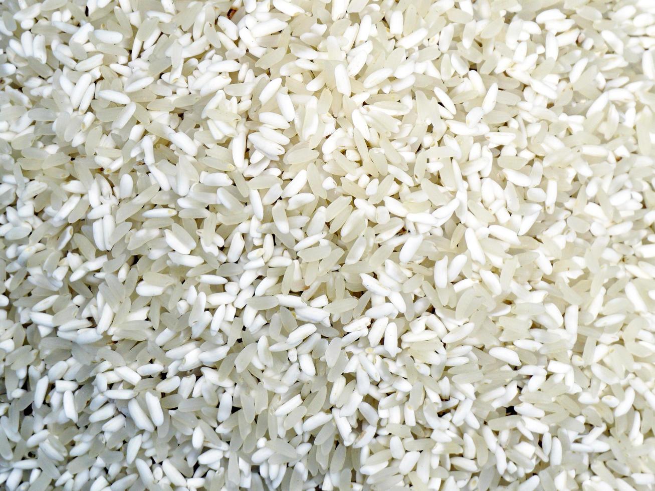Close up white Rice photo