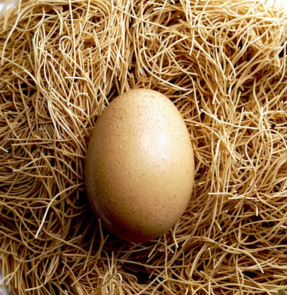 egg and nest close up background photo