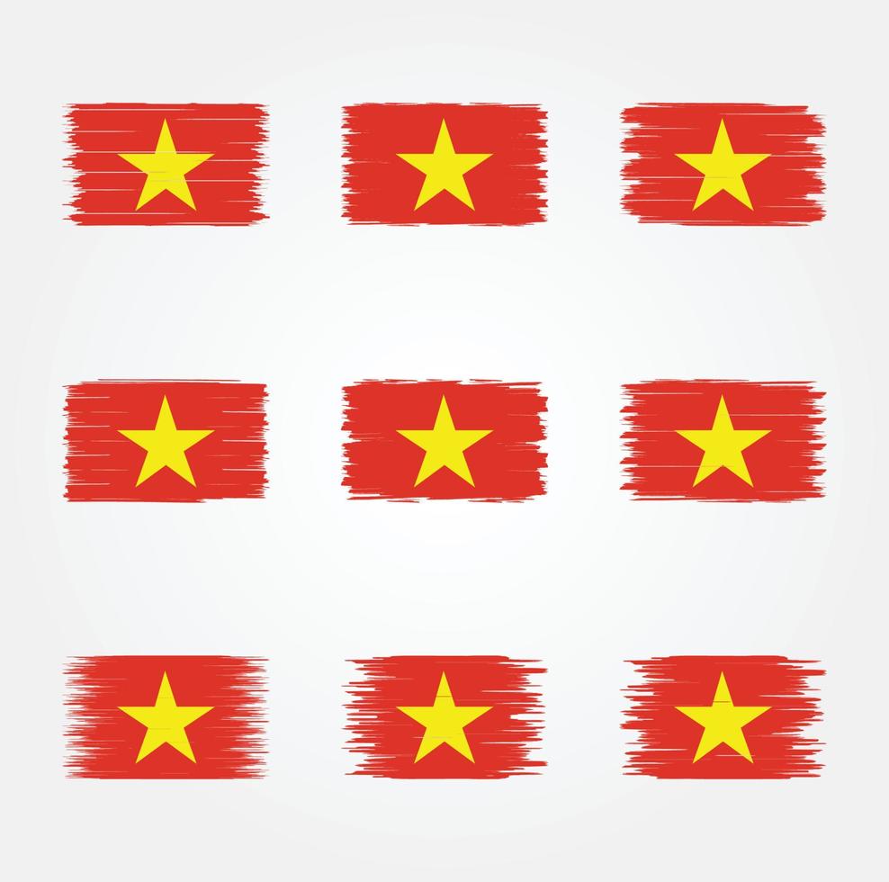 Vietnam Flag Brush Collection vector