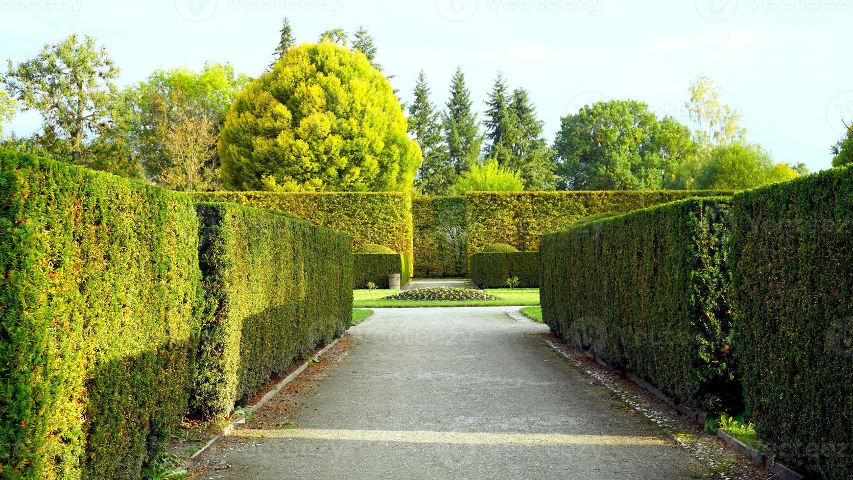 formal garden in the park of castle photo