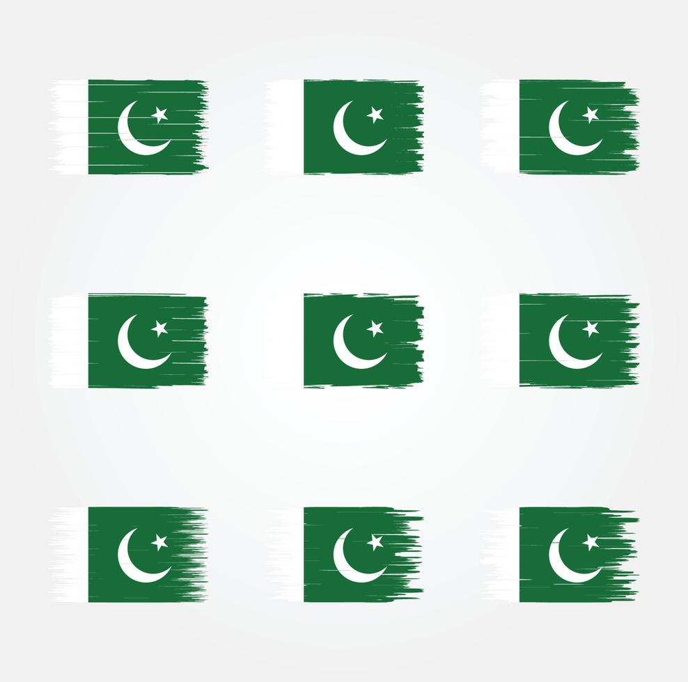 cepillo de bandera de pakistán. bandera nacional vector