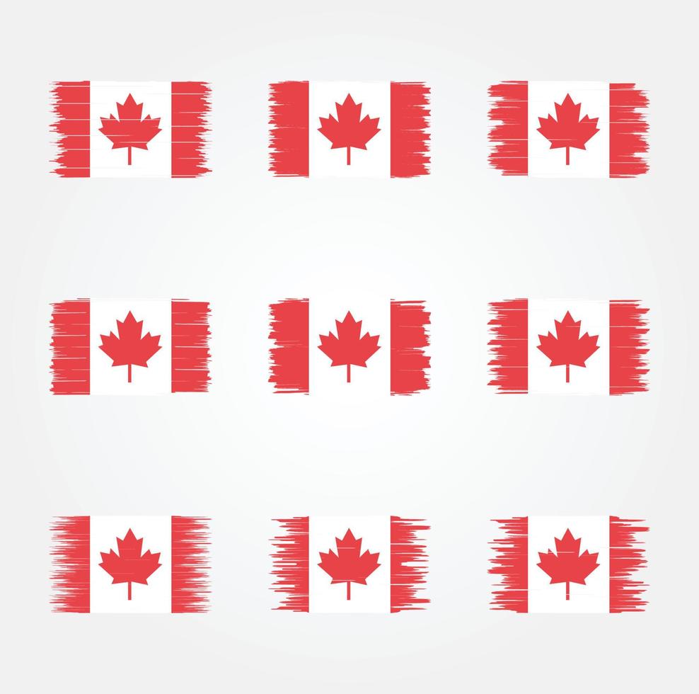 colección de pinceles de bandera de canadá vector