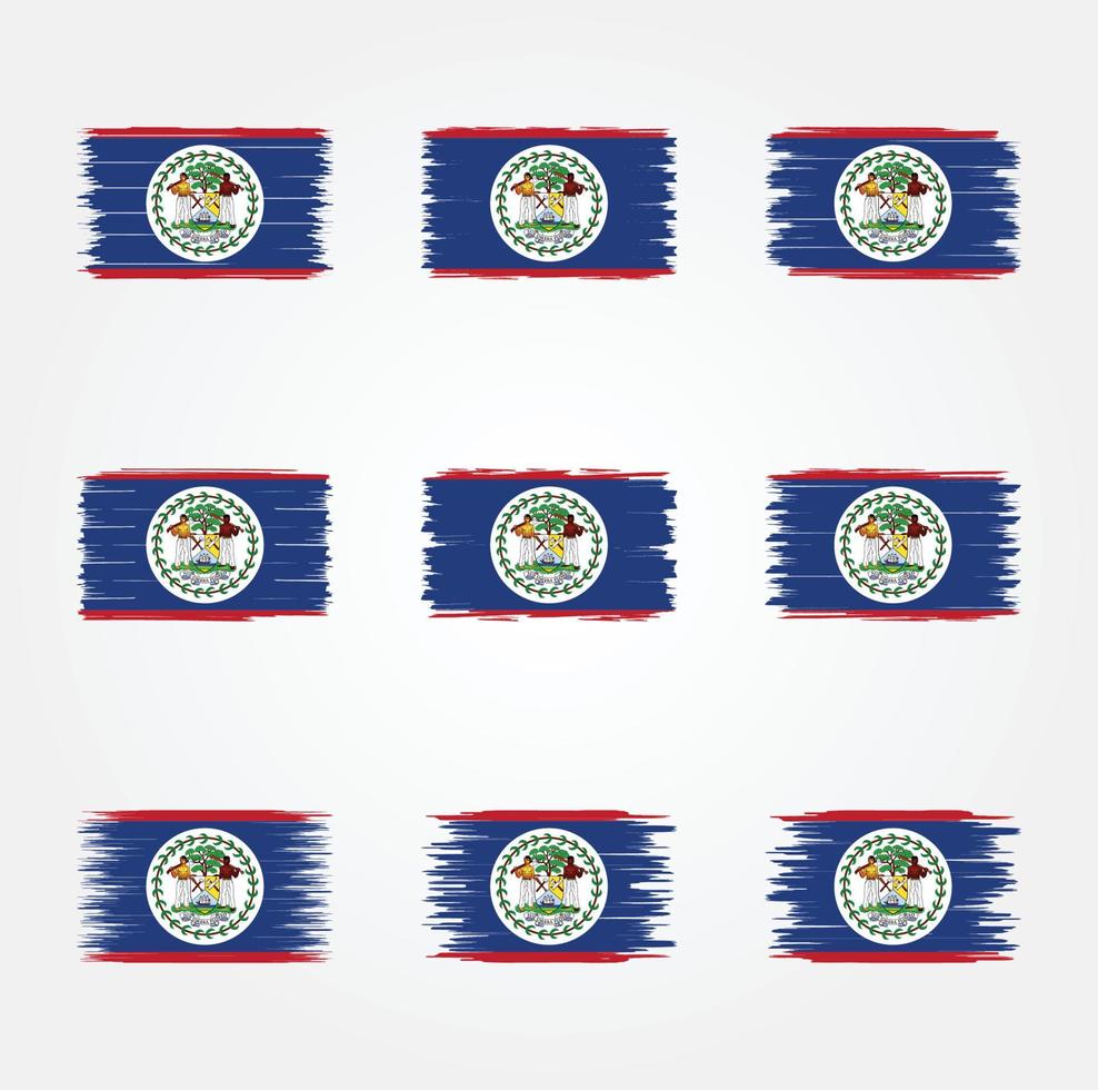 cepillo de bandera de belice. bandera nacional vector