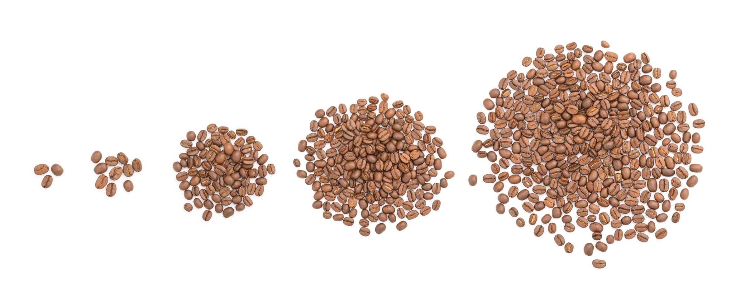 Coffee bean on isolated on white background. Food and beverage concept photo