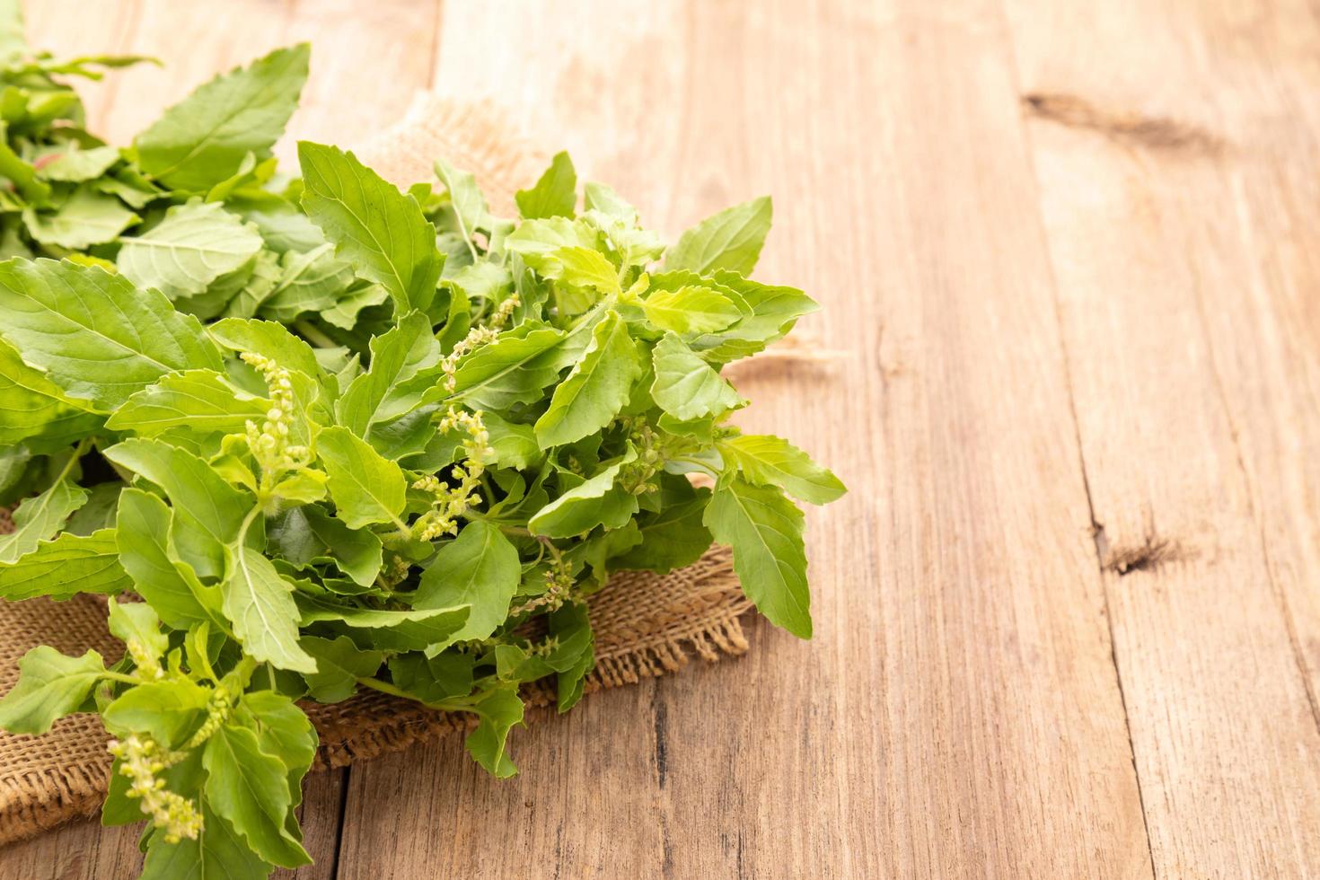Bundle of Thai green basil leaf or Hairy Basil on wooden table background. Food and healthcare concept photo