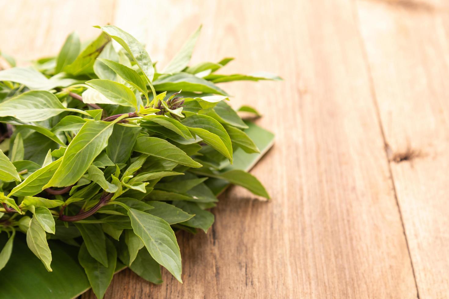 Bundle of Thai green basil leaf or Hairy Basil on wooden table background. Food and healthcare concept photo