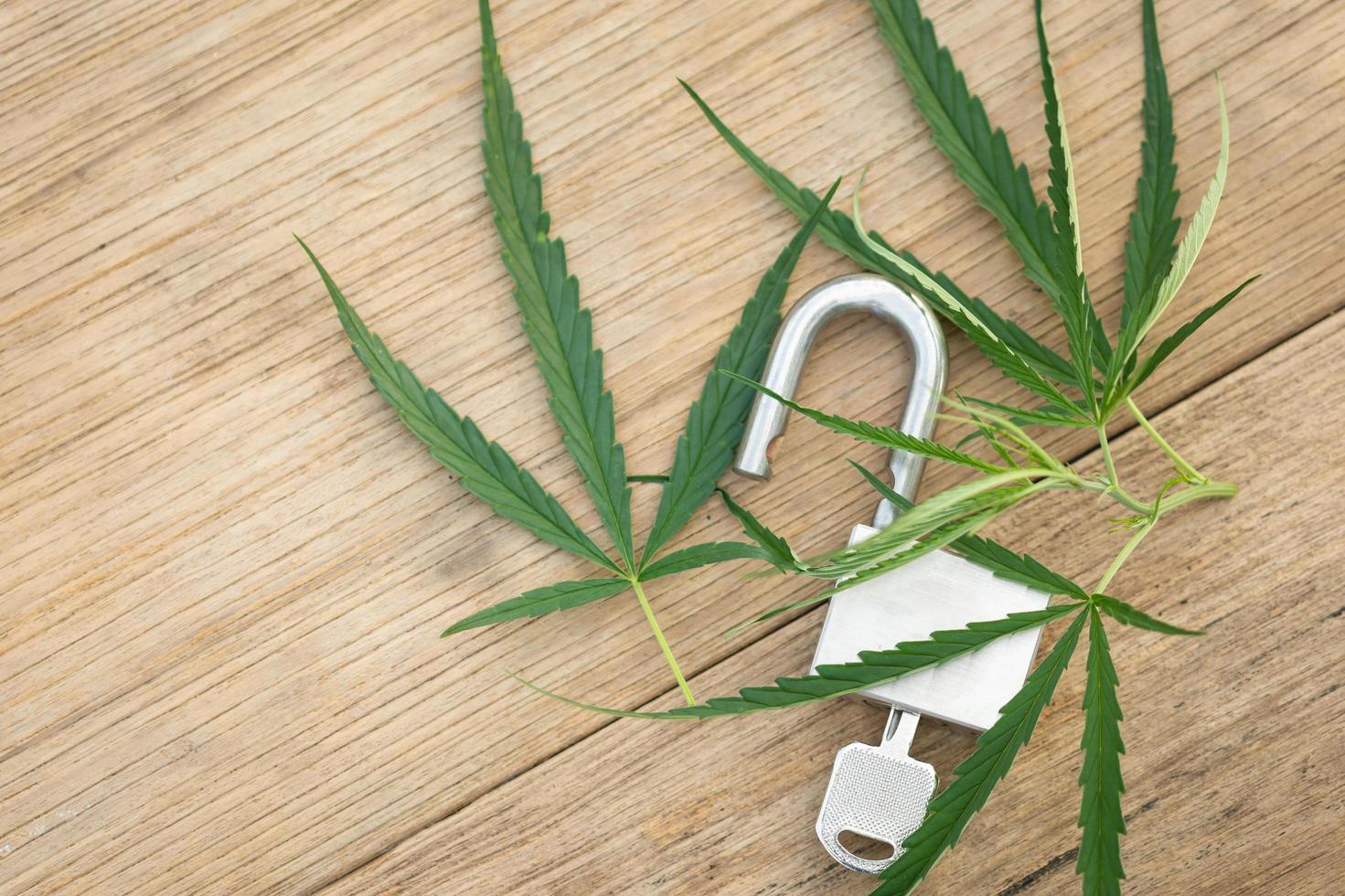 Branch of fresh marijuana leaf and silver key on wooden deck background, Unlock marijuana concept. photo