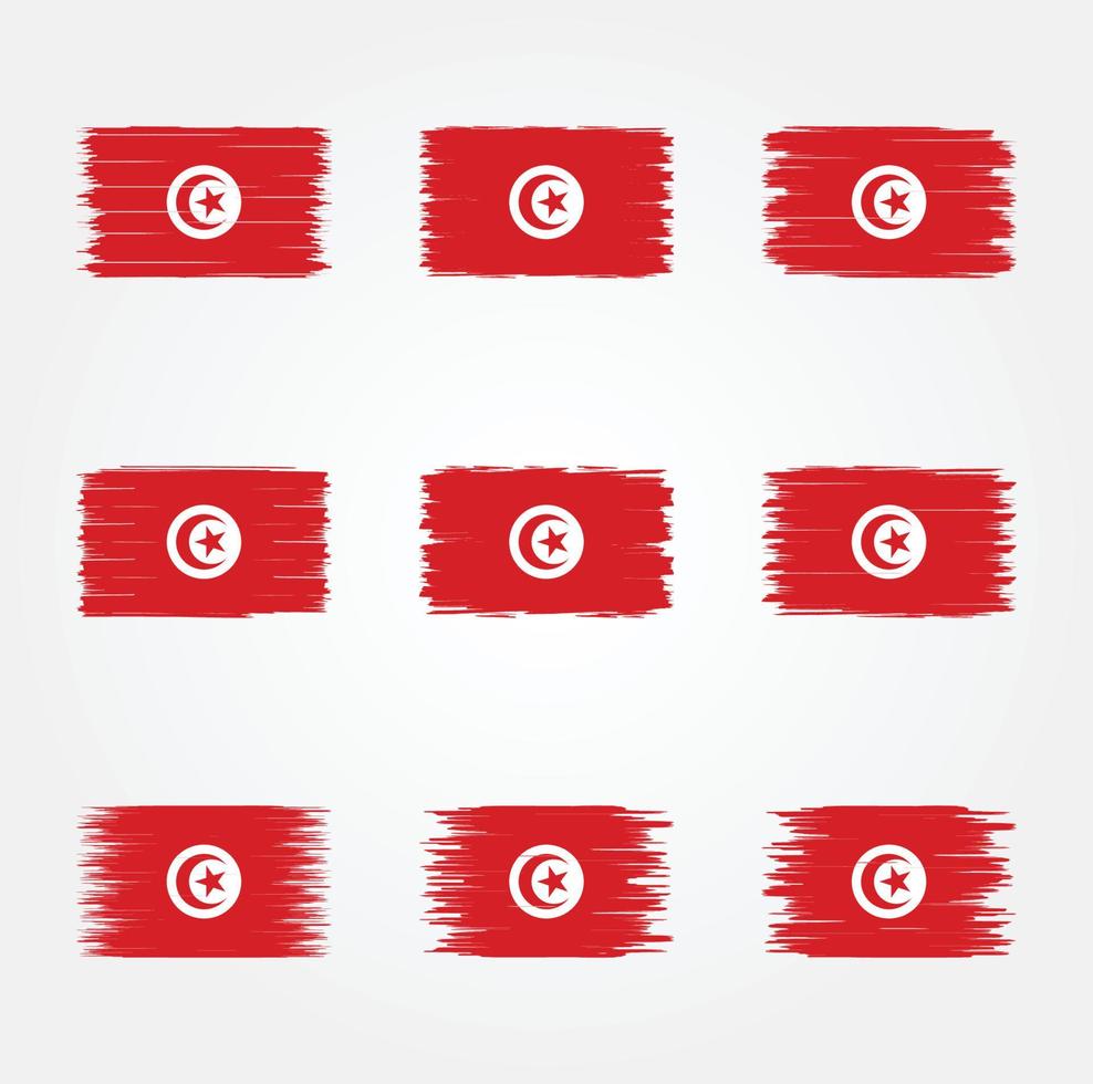 Tunisia Flag Brush. National Flag vector