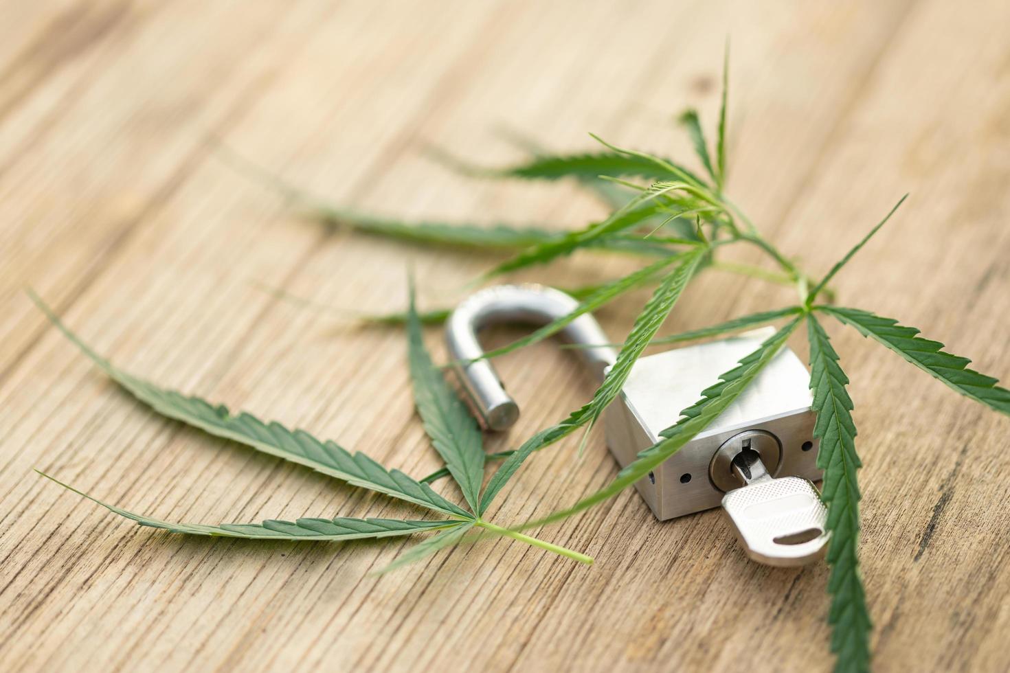 Branch of fresh marijuana leaf and silver key on wooden deck background, Unlock marijuana concept. photo