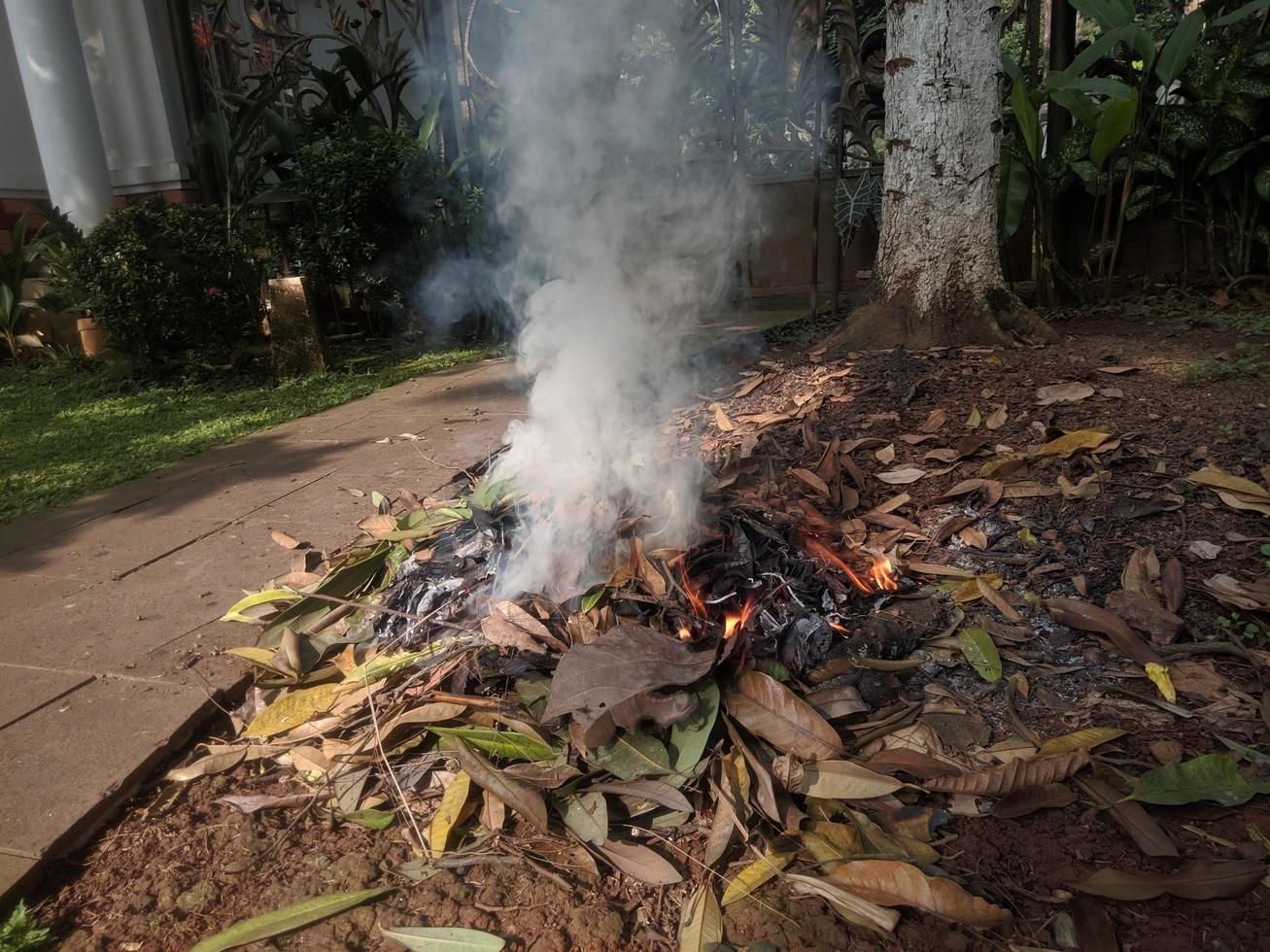 The leaves are being burnt photo