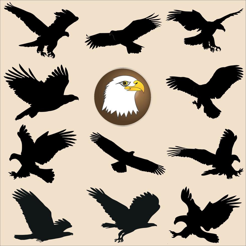 Flying bird eagle silhouettes in different positions free Vector