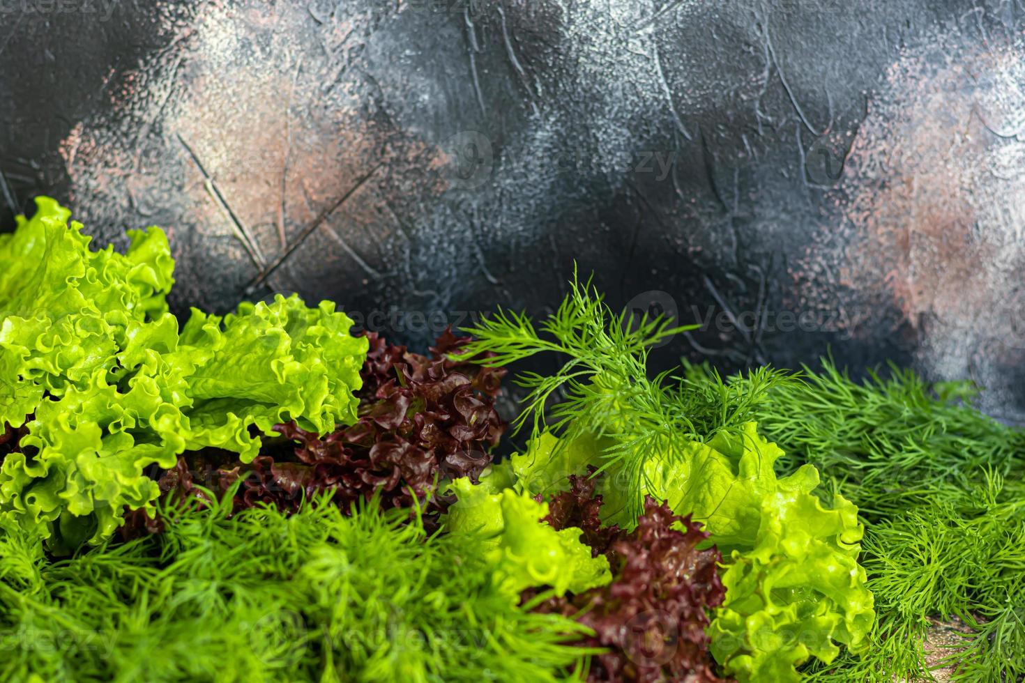 Fresh vegetables for salad. Tomatoes and lettuce, cucumbers with zucchini and cabbage with dill. Spring harvest, benefits and vitamins. On a dark background. photo
