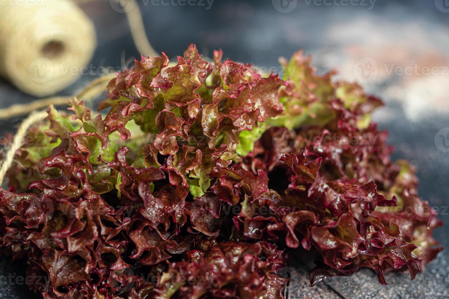Leaves of green and red lettuce. Spring harvest, benefits and vitamins. On a dark background. photo