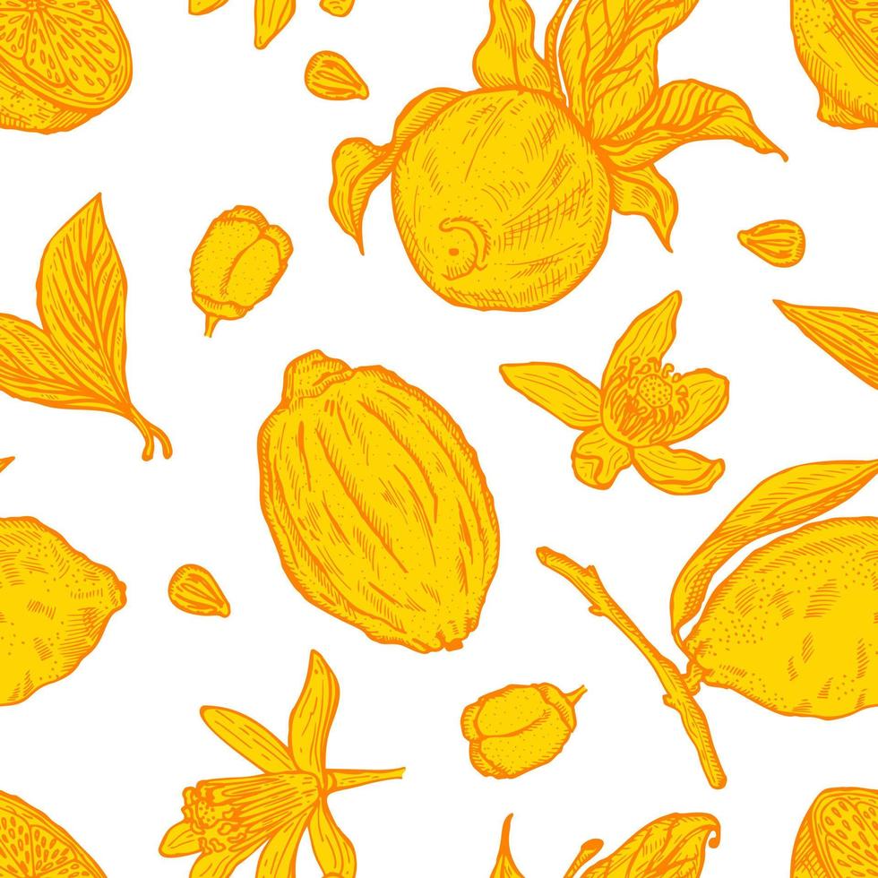 Engraving lemons seamless pattern. Vintage background with whole lemon, sliced, half, leaf, flowers and seed in hand drawn style. vector