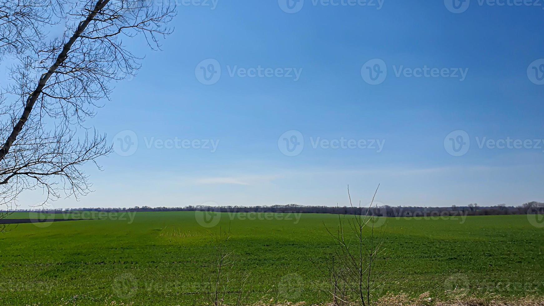 Sowing time in Ukraine during the war. Preparing fields for sowing grain. Blue sky, plowed land. terror. photo