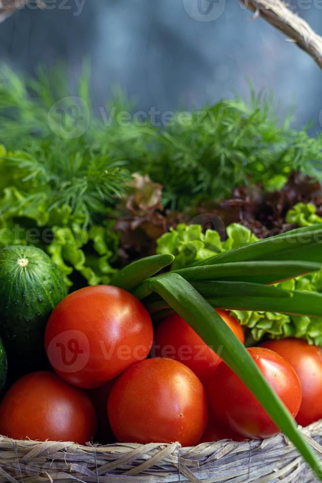 Fresh vegetables for salad in a basket. Tomatoes and cucumbers with zucchini and cabbage with dill. Spring harvest, benefits and vitamins. On a dark background. photo