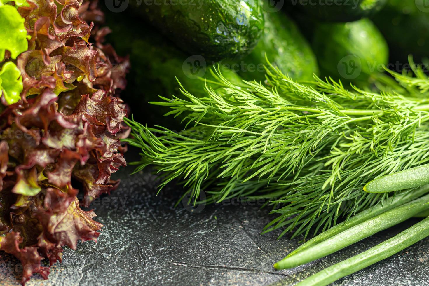 Fresh vegetables for salad. Tomatoes and lettuce, cucumbers with zucchini and cabbage with dill. Spring harvest, benefits and vitamins. On a dark background. photo