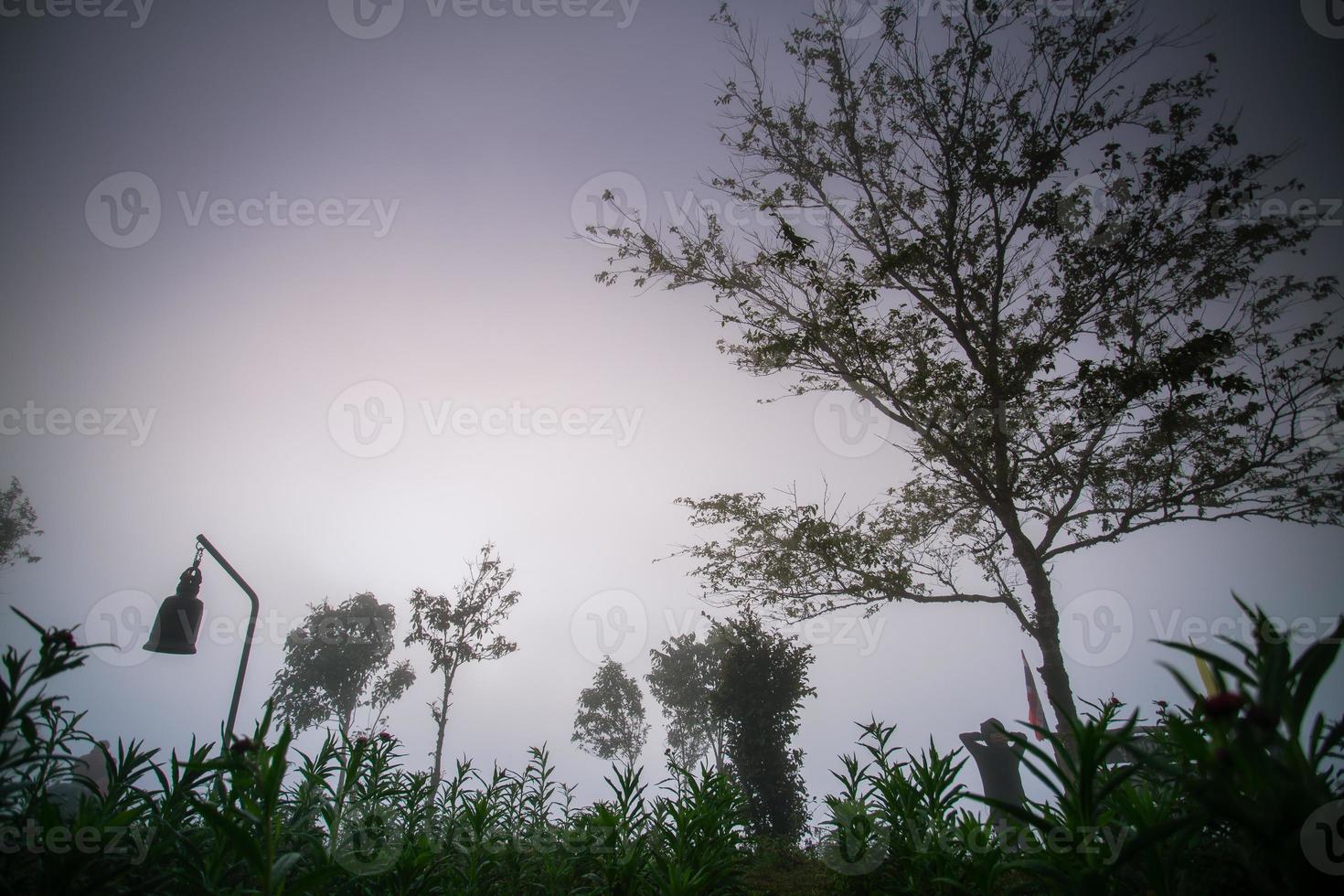 Viewpoint of sunrise scene at Phu Chi Phor, Khun Yuam district, Maehongson province, Thailand photo