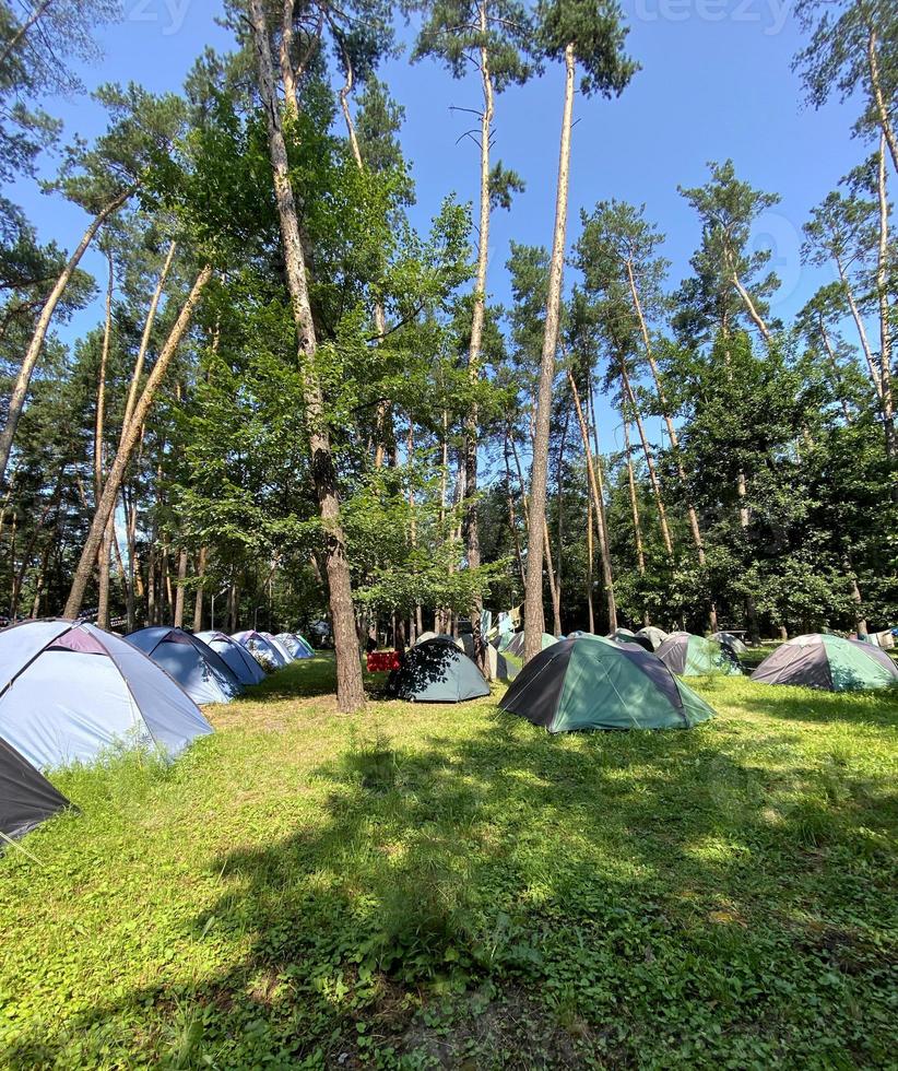 Tourist place. Camping. Tents in the forest. photo