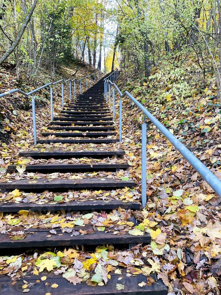 Staircase up. Autumn forest. Staircase in the forest photo