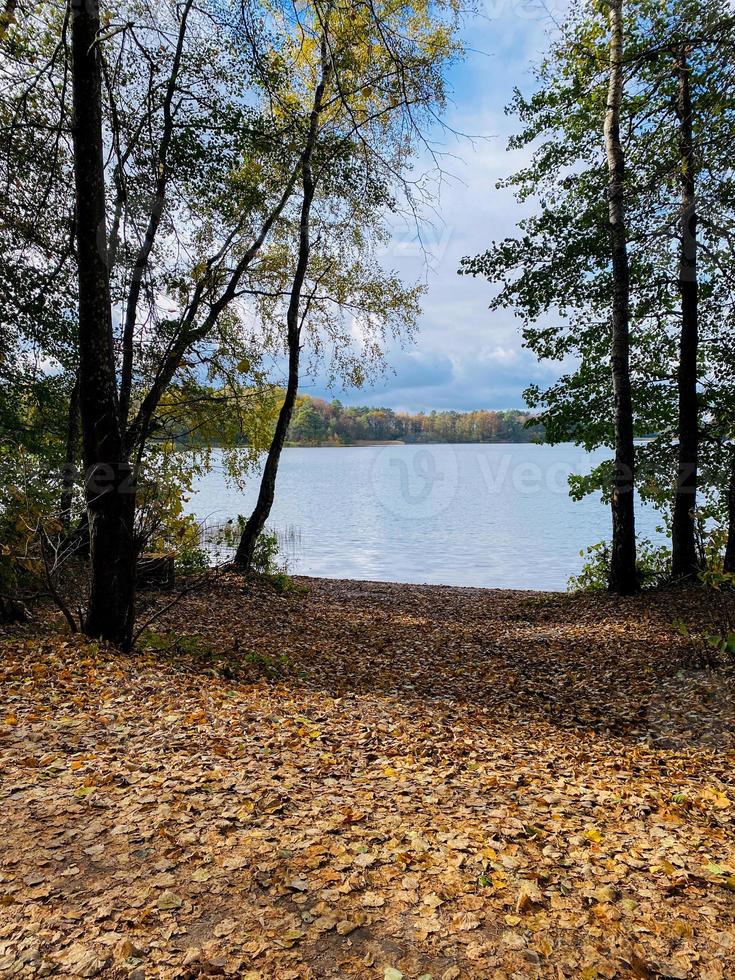 autumn landscape with trees, forest, and lake photo