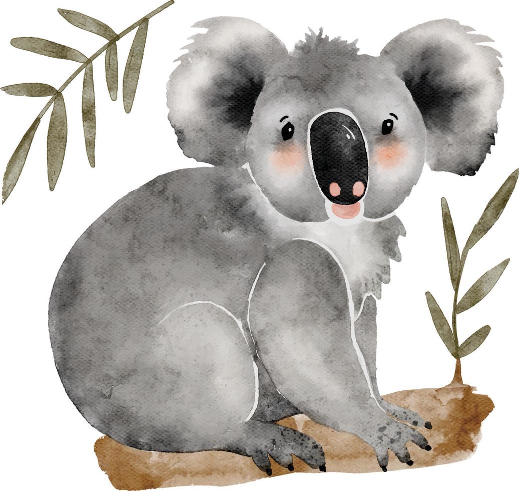 Australian cute cartoon koala animal on the tree, watercolor illustration. vector