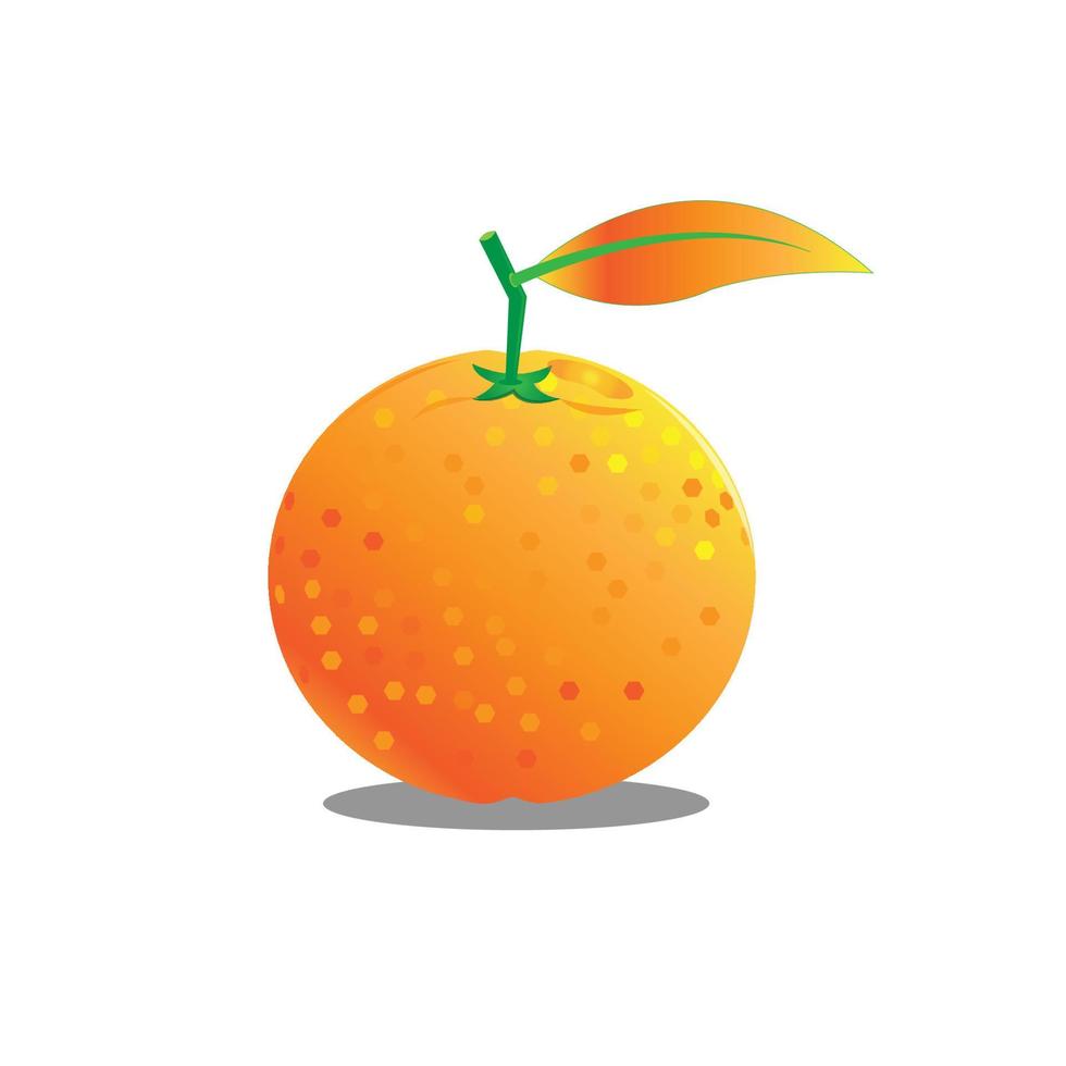 fresh citrus fruit on a white background vector