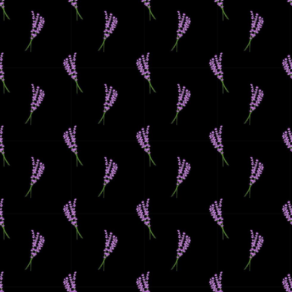 Seamless pattern lavender flowers pattern on black background.Floral vector pattern