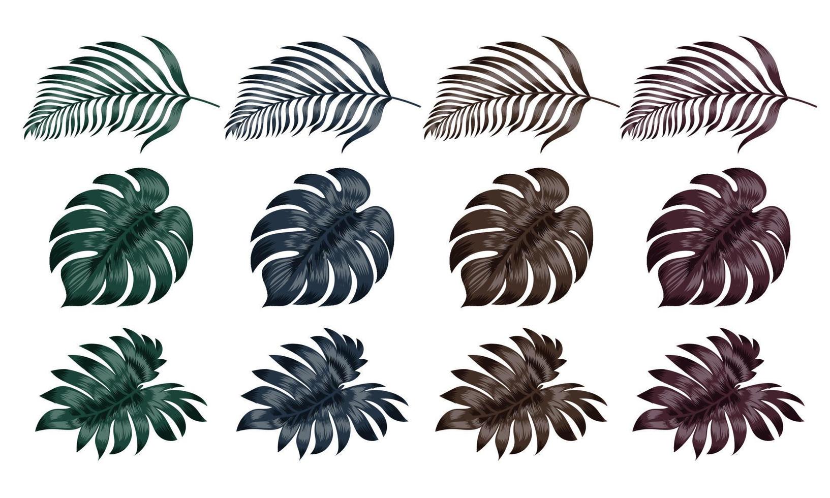 collection of leaves color isolated on white background. Vector illustration.