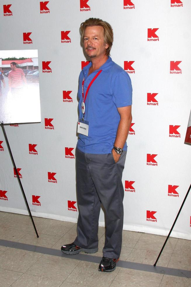 LOS ANGELES, JUL 3 - David Spade clerks at K-Mart to support March of Dimes and promote the Grown Ups 2 movie at the K-Mart on July 3, 2013 in Los Angeles, CA photo