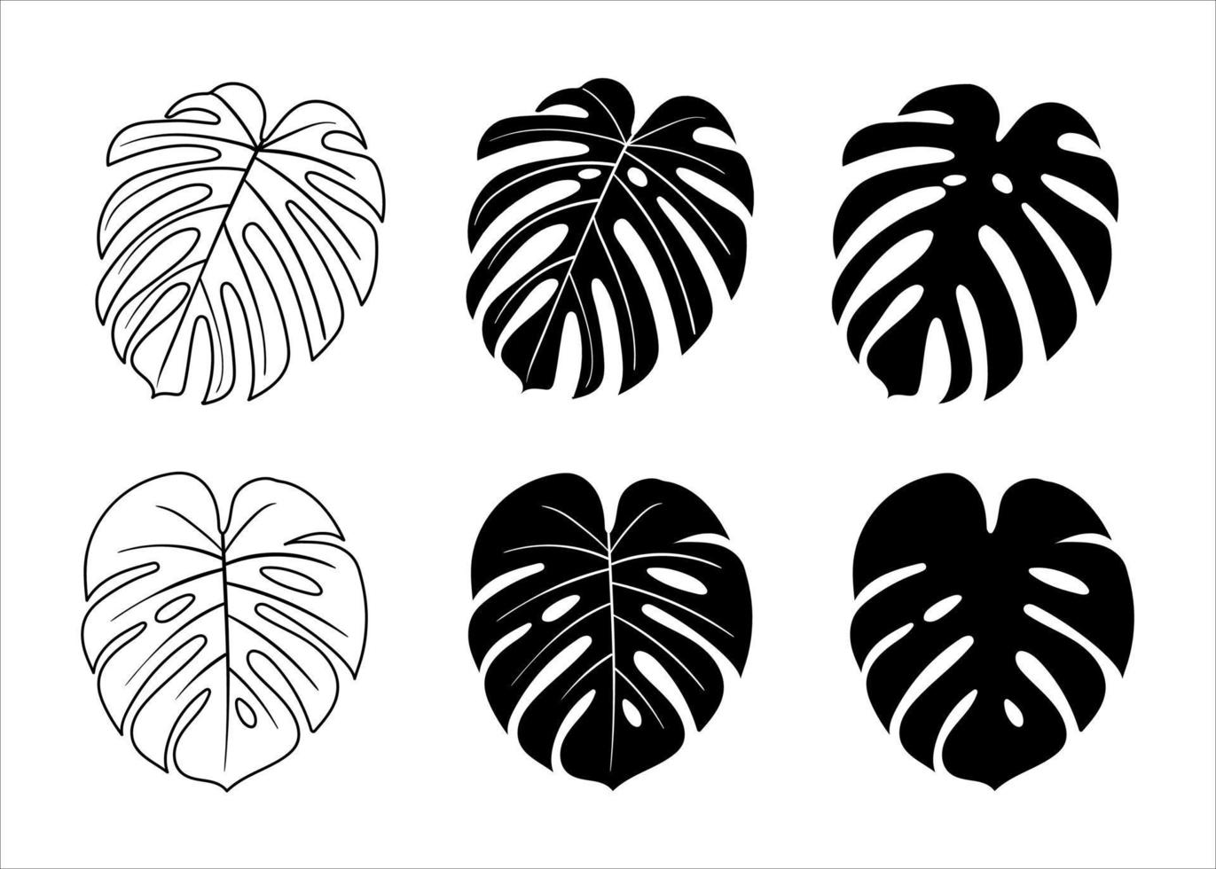 Silhouettes with tropical palm leaves, monstera. floral background. Isolated on white background. vector