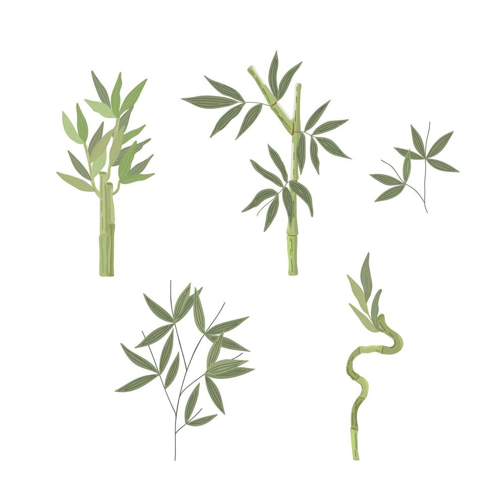 las plantas de bambú establecen una ilustración vectorial de estilo plano simple, planta japonesa tradicional, adorno decorativo oriental para el diseño textil, telas, decoración casera, concepto zen vector