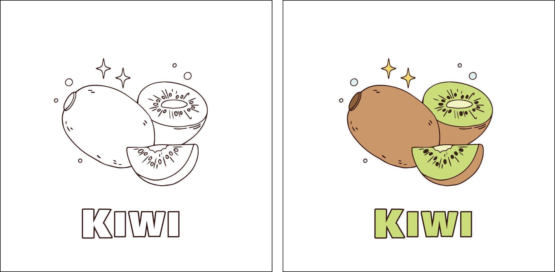 A for Kiwi Hand Drawn Coloring Page vector