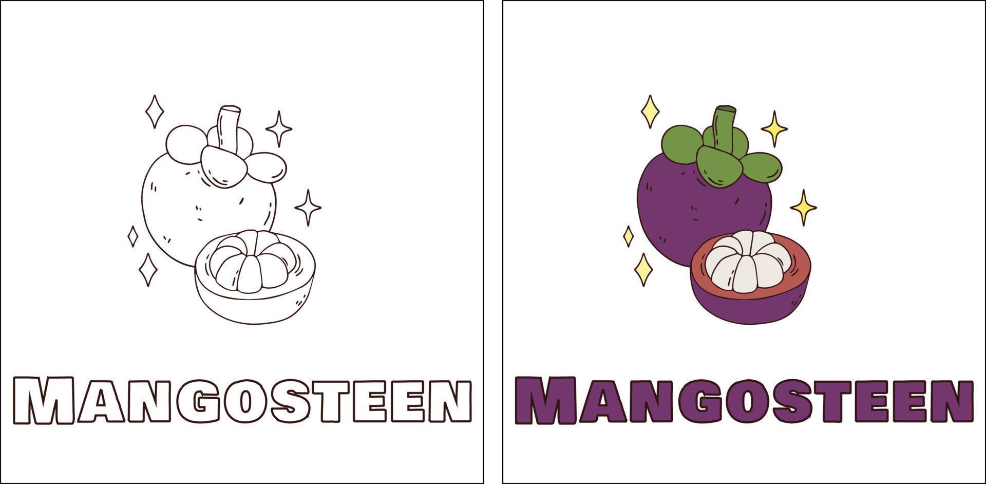 A for Mangosteen Hand Drawn Coloring Page vector