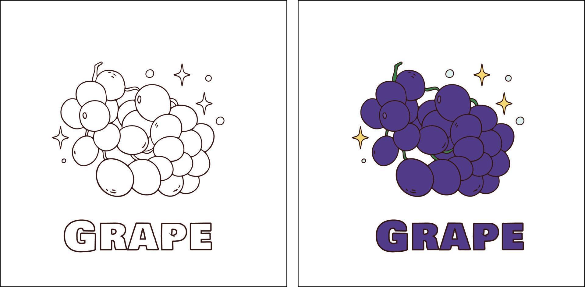 A for Grape Hand Drawn Coloring Page vector