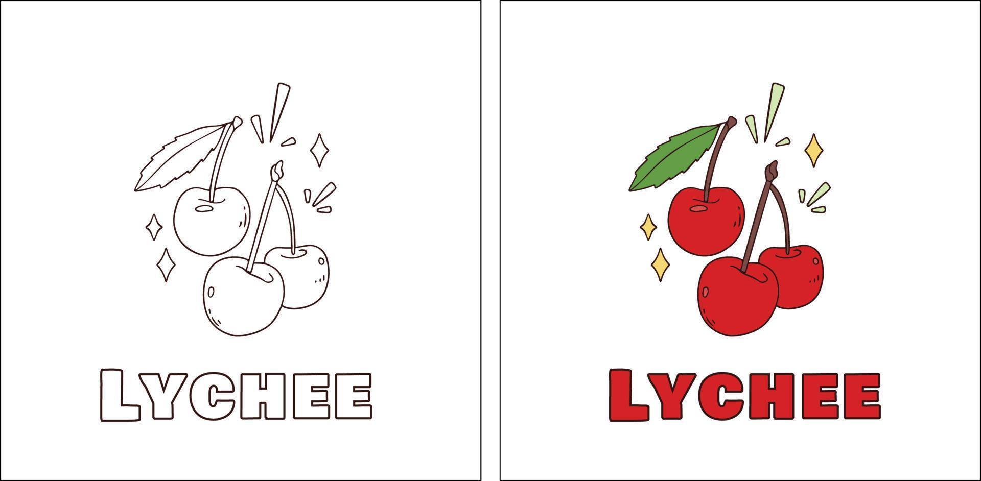 A for Lychee Hand Drawn Coloring Page vector